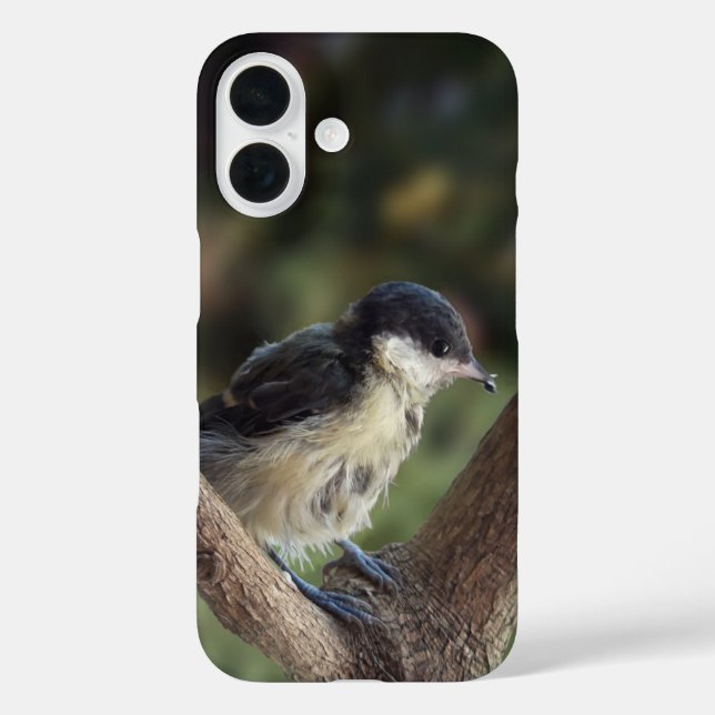 Tidi my Bird the Parus Major Case-Mate iPhone Case (Back)