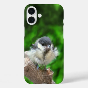 Tidi my Bird the Parus Major iPhone 16 Plus Case