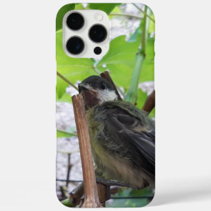 Tidi my Bird the Parus Major iPhone 16 Pro Max Case