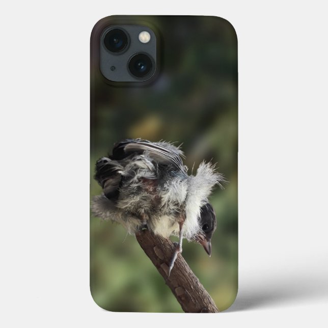 Tidi my Bird the Parus Major Case-Mate iPhone Case (Back)