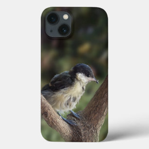 Tidi my Bird the Parus Major iPhone 13 Case