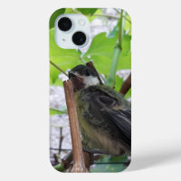 Tidi my Bird the Parus Major