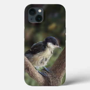 Tidi my Bird the Parus Major iPhone 13 Case