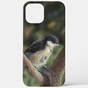 Tidi my Bird the Parus Major iPhone 12 Pro Max Case