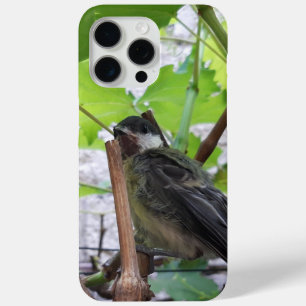 Tidi my Bird the Parus Major iPhone 15 Pro Max Case