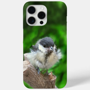 Tidi my Bird the Parus Major iPhone 15 Pro Max Case