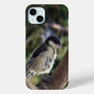 Tidi my Bird the Parus Major iPhone 15 Mini Case