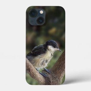 Tidi my Bird the Parus Major iPhone 13 Mini Case