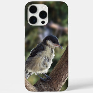 Tidi my Bird the Parus Major iPhone 16 Pro Max Case