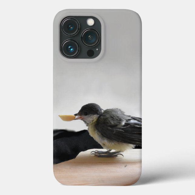 Tidi my Bird the Parus Major Case-Mate iPhone Case (Back)