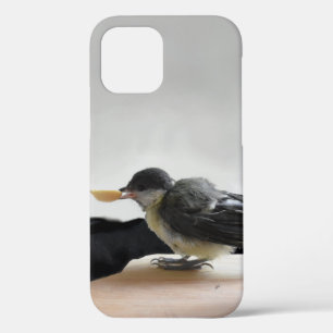 Tidi my Bird the Parus Major iPhone 12 Pro Case