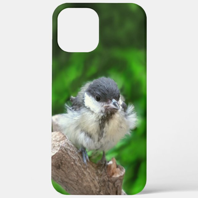 Tidi my Bird the Parus Major Case-Mate iPhone Case (Back)