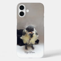 Tidi my Bird the Parus Major