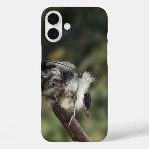 Tidi my Bird the Parus Major iPhone 16 Plus Case