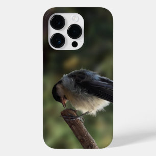 Tidi my Bird the Parus Major Case-Mate iPhone 14 Pro Case