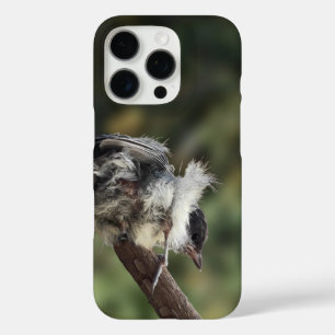Tidi my Bird the Parus Major iPhone 16 Pro Case