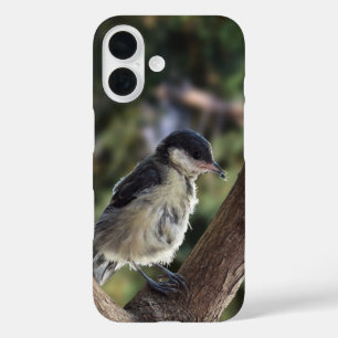 Tidi my Bird the Parus Major iPhone 16 Case