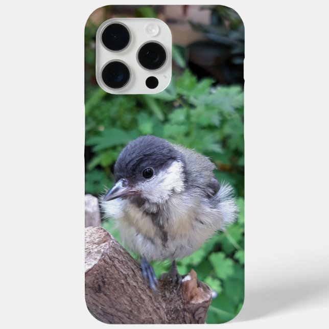 Tidi my Bird the Parus Major Case-Mate iPhone Case (Back)