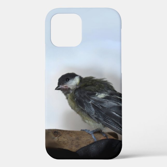 Tidi my Bird the Parus Major Case-Mate iPhone Case (Back)