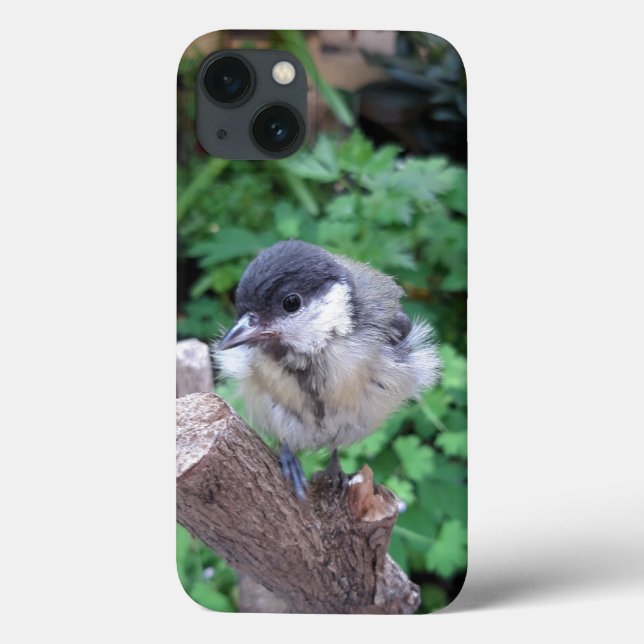 Tidi my Bird the Parus Major Case-Mate iPhone Case (Back)