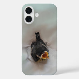 Tidi my Bird the Parus Major iPhone 16 Case