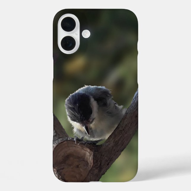 Tidi my Bird the Parus Major Case-Mate iPhone Case (Back)