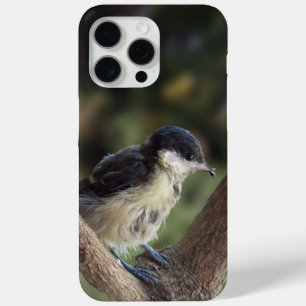 Tidi my Bird the Parus Major iPhone 15 Pro Max Case