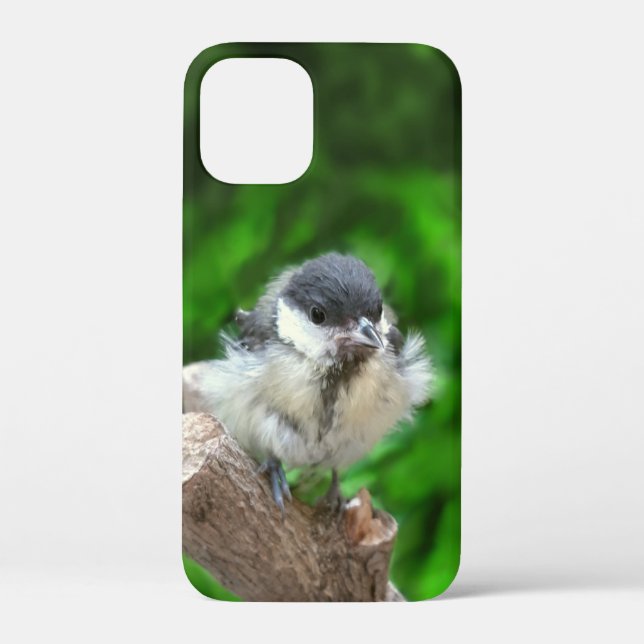 Tidi my Bird the Parus Major Case-Mate iPhone Case (Back)