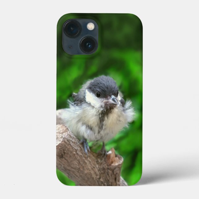 Tidi my Bird the Parus Major Case-Mate iPhone Case (Back)
