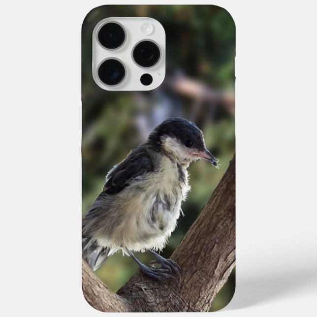 Tidi my Bird the Parus Major Case-Mate iPhone Case (Back)