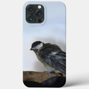Tidi my Bird the Parus Major iPhone 13 Pro Max Case