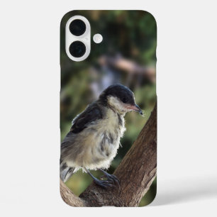 Tidi my Bird the Parus Major iPhone 16 Plus Case
