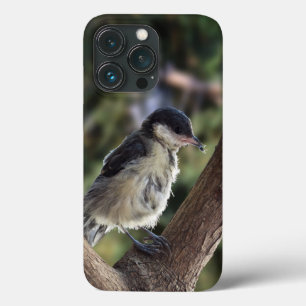 Tidi my Bird the Parus Major iPhone 13 Pro Case