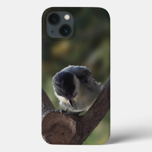 Tidi my Bird the Parus Major iPhone 13 Case