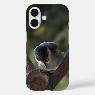Tidi my Bird the Parus Major iPhone 16 Case