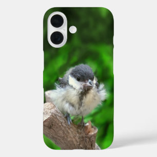 Tidi my Bird the Parus Major iPhone 16 Case