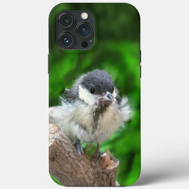 Tidi my Bird the Parus Major Case-Mate iPhone Case (Back)