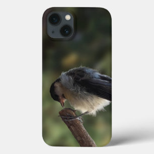 Tidi my Bird the Parus Major iPhone 13 Case