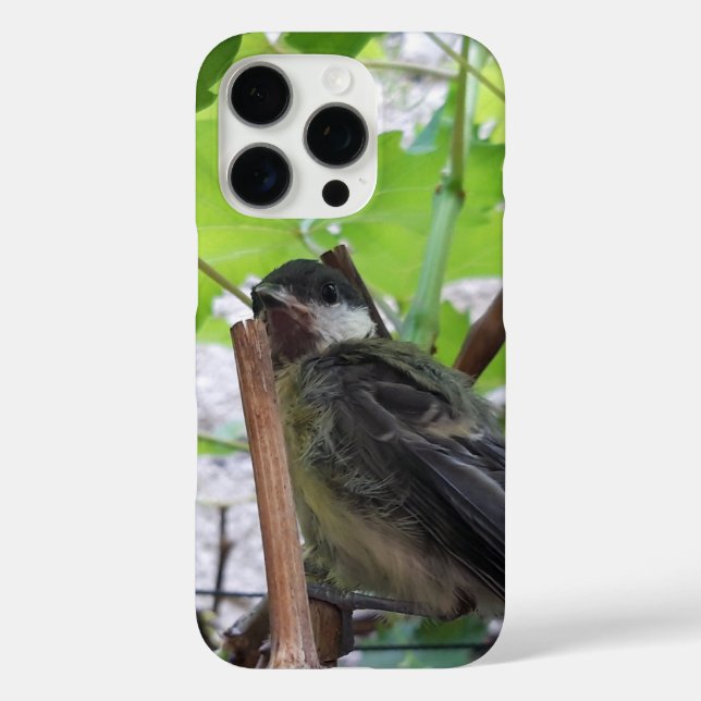 Tidi my Bird the Parus Major Case-Mate iPhone Case (Back)