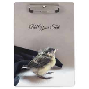 Tidi my Bird the Parus Major Clipboard