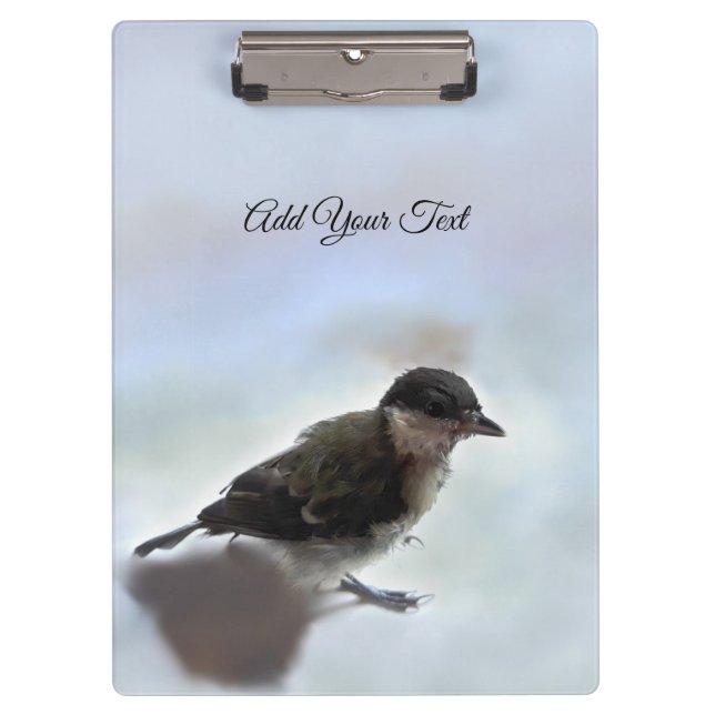 Tidi my Bird the Parus Major Clipboard (Front)