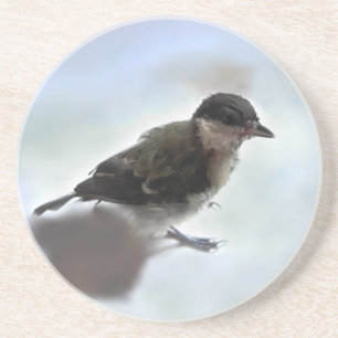 Tidi my Bird the Parus Major Coaster