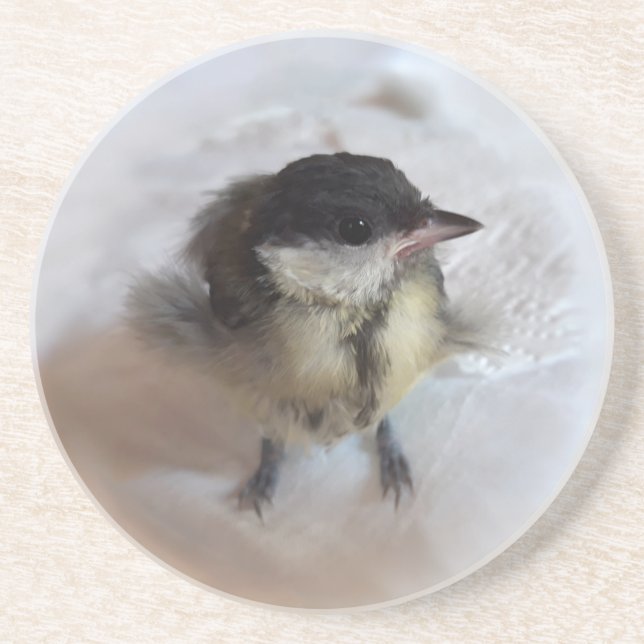 Tidi my Bird the Parus Major Coaster (Front)