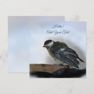 Tidi my Bird the Parus Major flat card