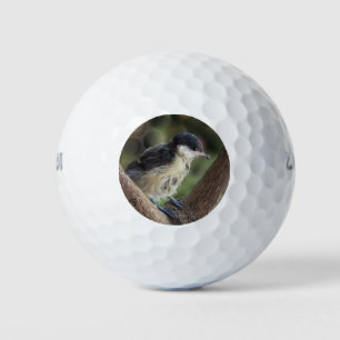 Tidi my Bird the Parus Major Golf Balls