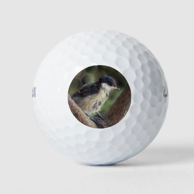 Tidi my Bird the Parus Major Golf Balls (Front)