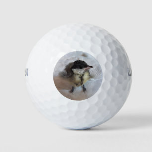 Tidi my Bird the Parus Major Golf Balls