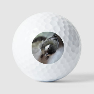 Tidi my Bird the Parus Major Golf Balls