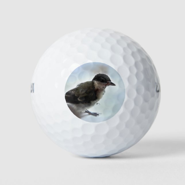 Tidi my Bird the Parus Major Golf Balls (Front)