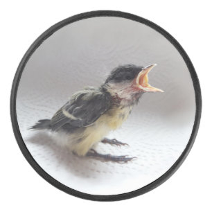 Tidi my Bird the Parus Major Hockey Puck